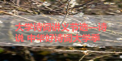 大学诗词讲义节选—诗说 中华好诗词大学季