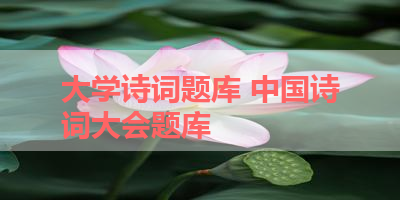 大学诗词题库 中国诗词大会题库