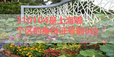 310104是上海哪个区的身份证号前6位 