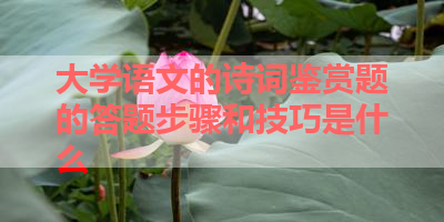 大学语文的诗词鉴赏题的答题步骤和技巧是什么 