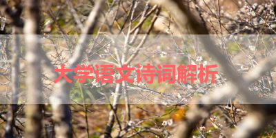 大学语文诗词解析 