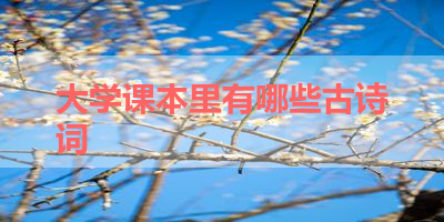 大学课本里有哪些古诗词 