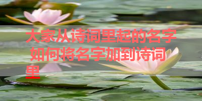 大家从诗词里起的名字 如何将名字加到诗词里