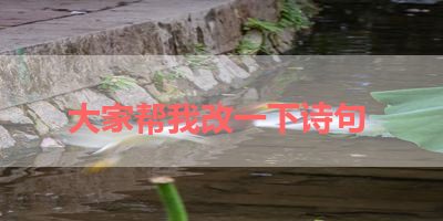 大家帮我改一下诗句 