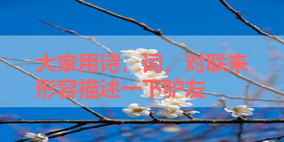 大家用诗，词，对联来形容描述一下驴友 