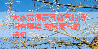 大家觉得豪气霸气的诗词有哪些 霸气豪气的诗句