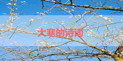 大寒的诗词 
