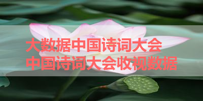 大数据中国诗词大会 中国诗词大会收视数据