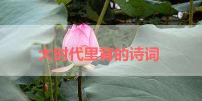 大时代里背的诗词 