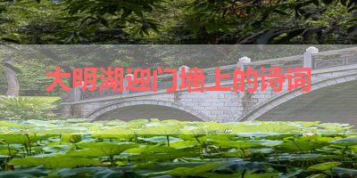 大明湖迎门墙上的诗词 