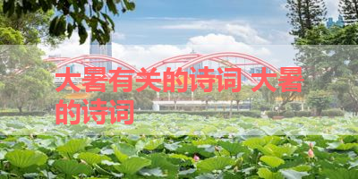 大暑有关的诗词 大暑的诗词