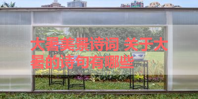 大暑美景诗词 关于大暑的诗句有哪些 