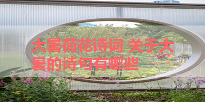 大暑荷花诗词 关于大暑的诗句有哪些 