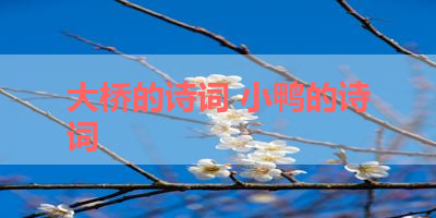 大桥的诗词 小鸭的诗词