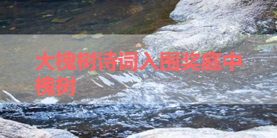大槐树诗词入围奖庭中槐树 