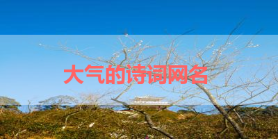 大气的诗词网名 