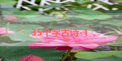 35个字古诗-1 