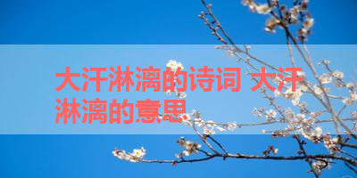 大汗淋漓的诗词 大汗淋漓的意思