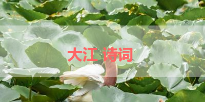 大江 诗词 