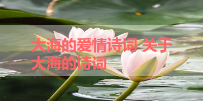 大海的爱情诗词 关于大海的诗词