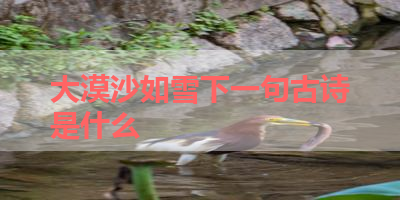 大漠沙如雪下一句古诗是什么 