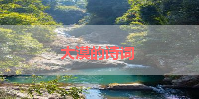 大漠的诗词 