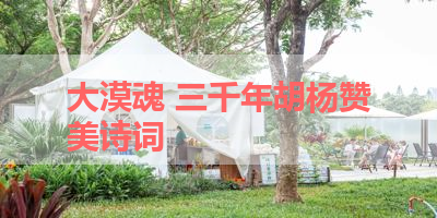 大漠魂 三千年胡杨赞美诗词 