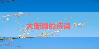 大珊瑚的诗词 