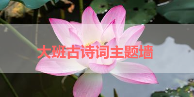 大班古诗词主题墙 