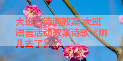 大班古诗词教案 大班语言活动教案诗歌《哪儿去了》 