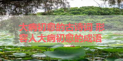 大病初愈的古诗词 形容人大病初愈的成语 