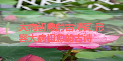 大病初愈的古诗词 形容大病初愈的古诗