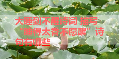 大睡到不醒诗词 描写“睡得太香不愿醒”诗句有哪些 