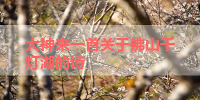 大神来一首关于佛山千灯湖的诗 