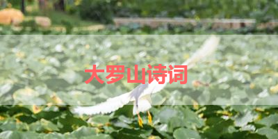 大罗山诗词 