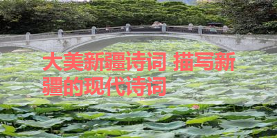 大美新疆诗词 描写新疆的现代诗词