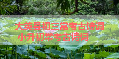 大英县初三常考古诗词 小升初常考古诗词