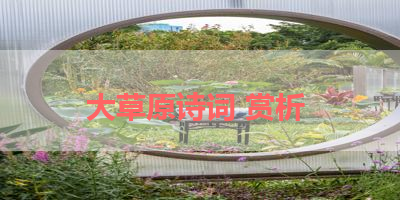 大草原诗词 赏析 