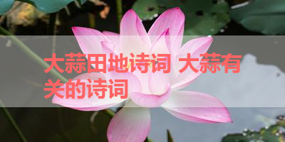 大蒜田地诗词 大蒜有关的诗词