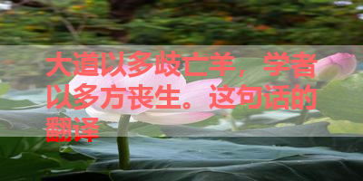 大道以多歧亡羊，学者以多方丧生。这句话的翻译 