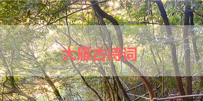 大雁古诗词 