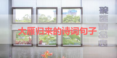 大雁归来的诗词句子 
