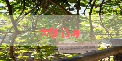 大雕 诗词 