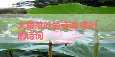 大雨落叶的诗词 落叶的诗词