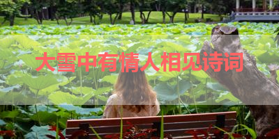 大雪中有情人相见诗词 