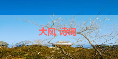 大风 诗词 