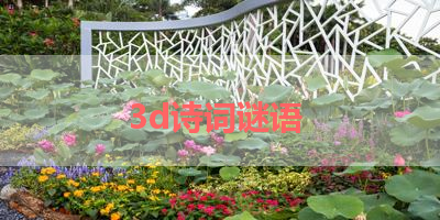 3d诗词谜语 