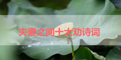 夫妻之间十大劝诗词 