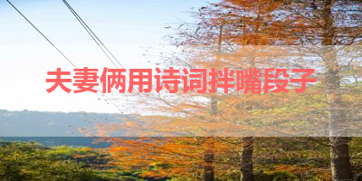 夫妻俩用诗词拌嘴段子 