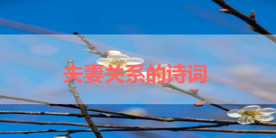 夫妻关系的诗词 